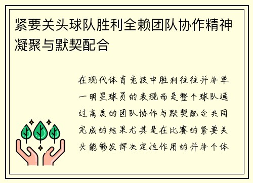 紧要关头球队胜利全赖团队协作精神凝聚与默契配合